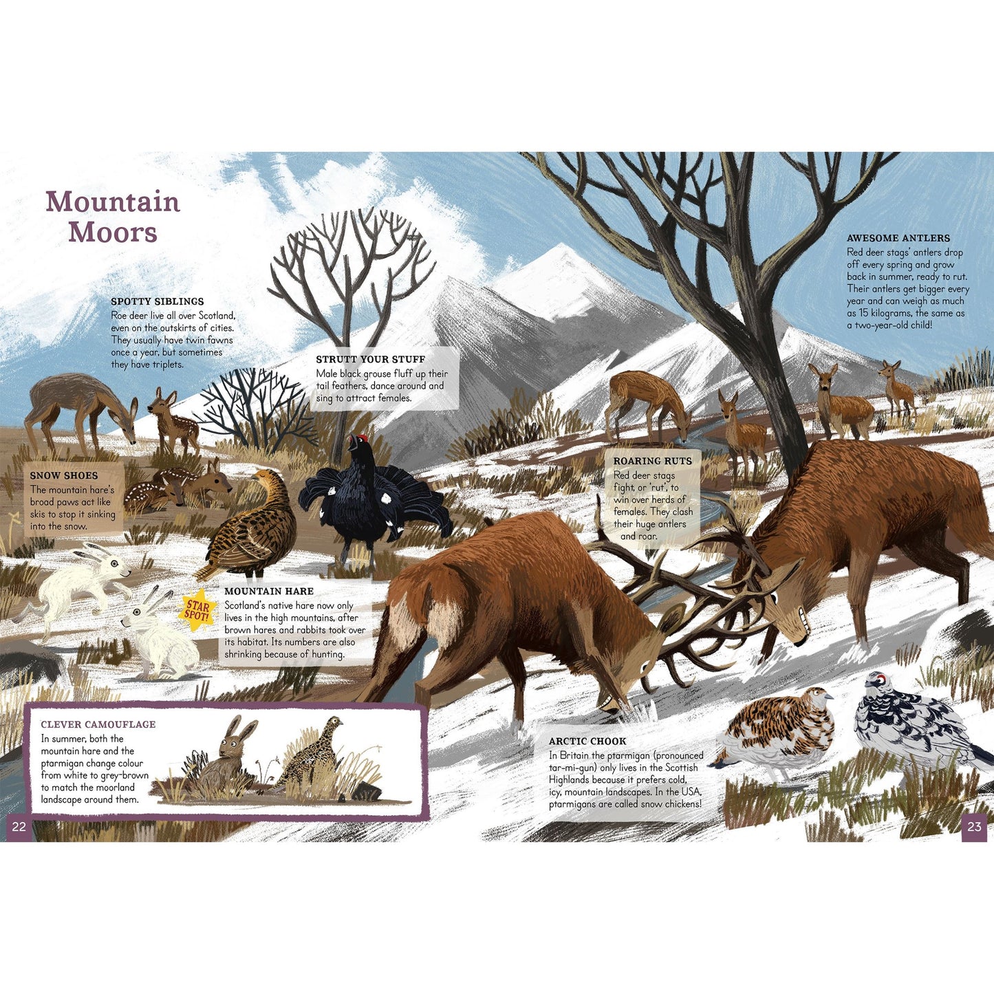 Amazing Animals Atlas Scotland Book