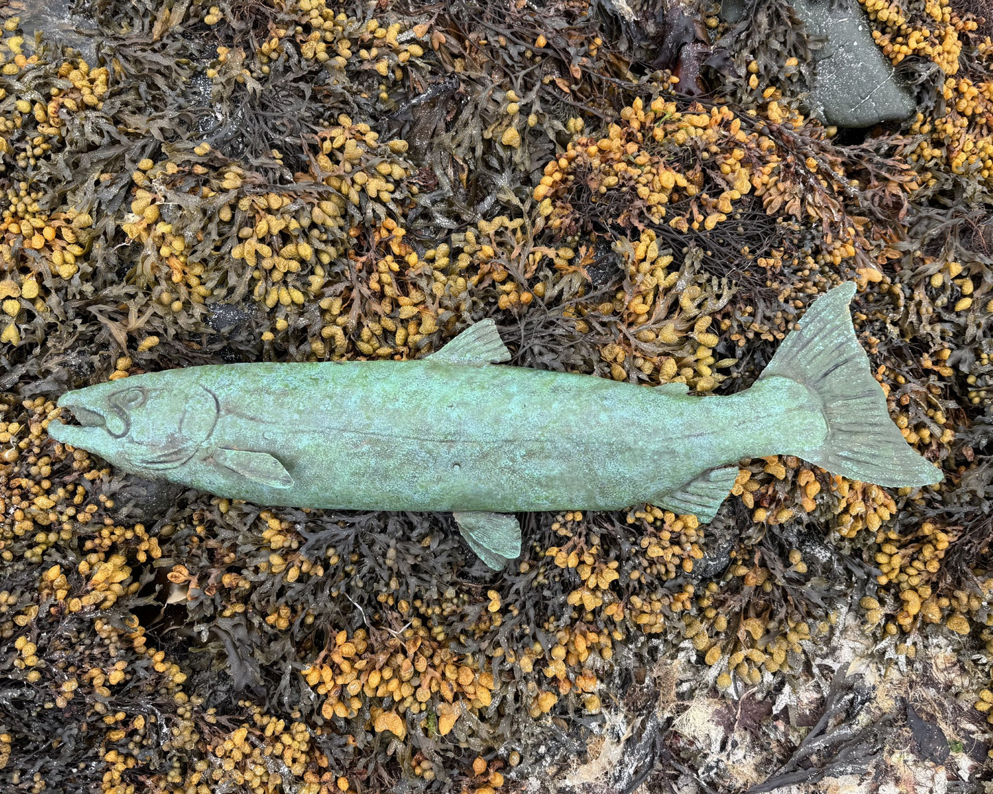 Atlantic Salmon