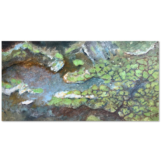 Salt marsh Pennyghael