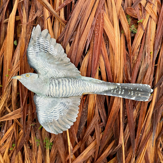 Tin Cuckoo - Painted