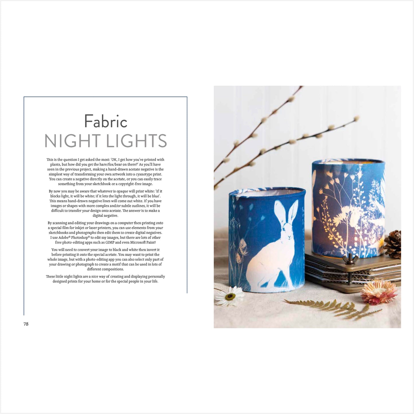 Beginners Guide to Cyanotype - Book