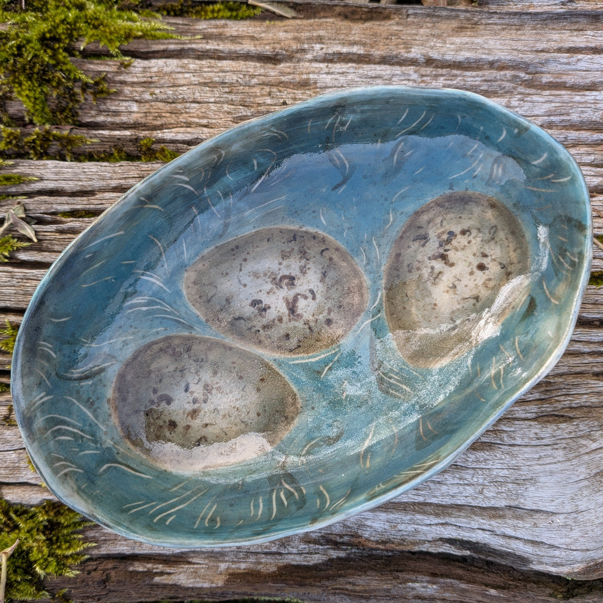 Common Gull Egg Bowl