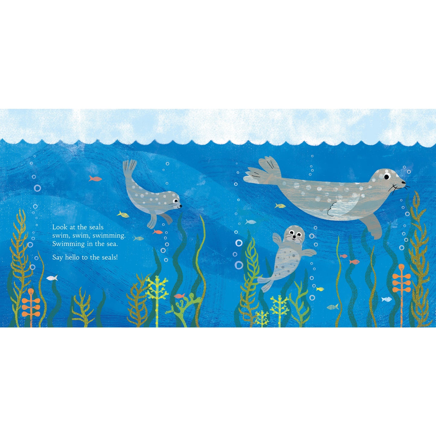 Hello Scottish Animals Book