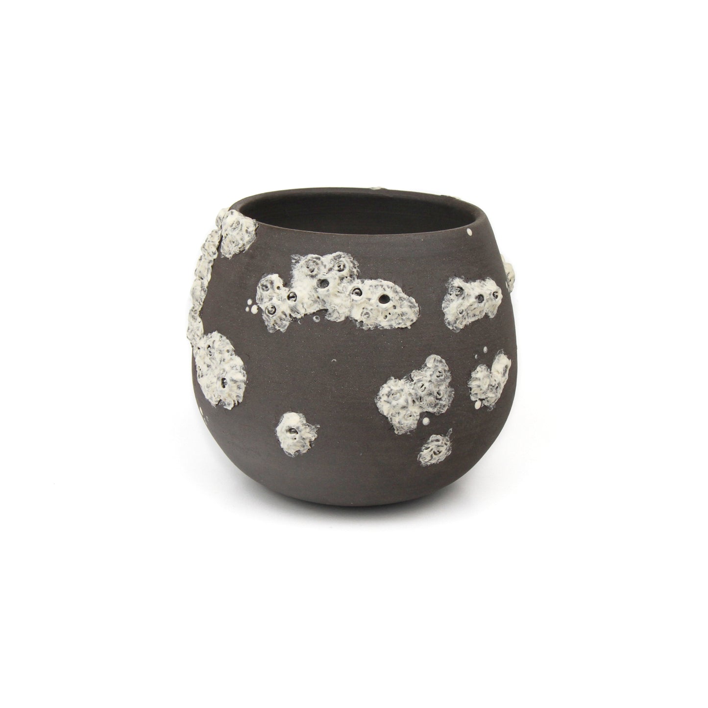 Langamull Barnacle Curved Bowl