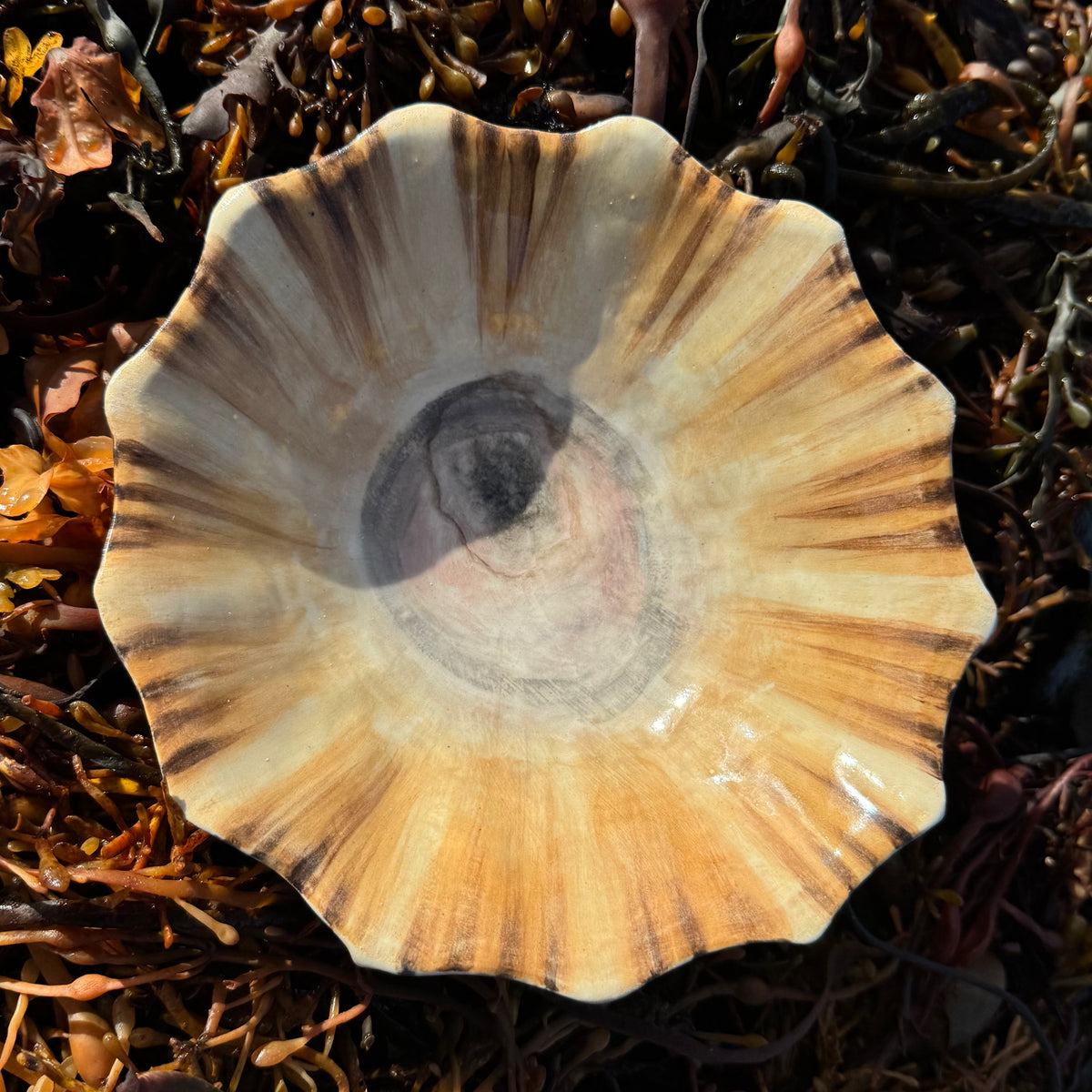 Limpet Bowl