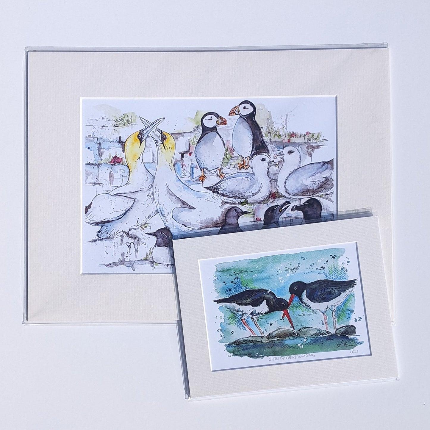 Seabird Colony - Print