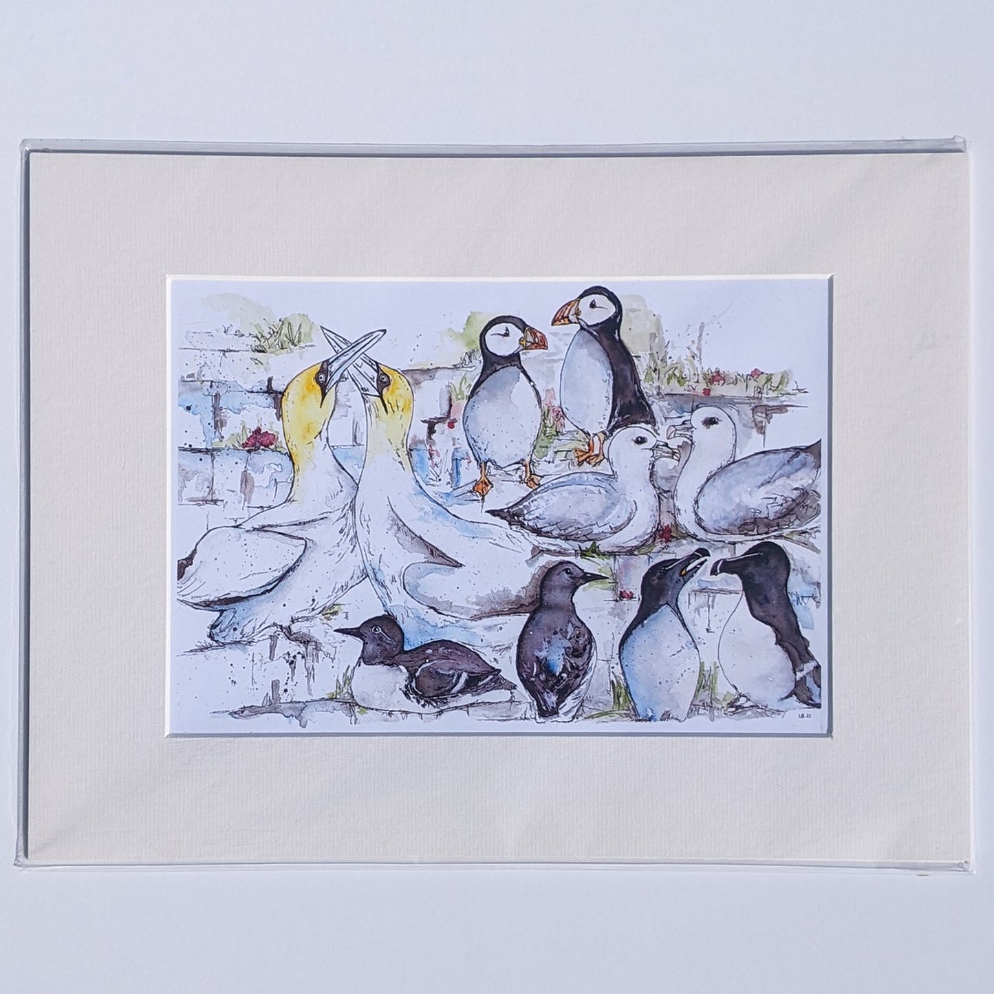 Seabird Colony - Print