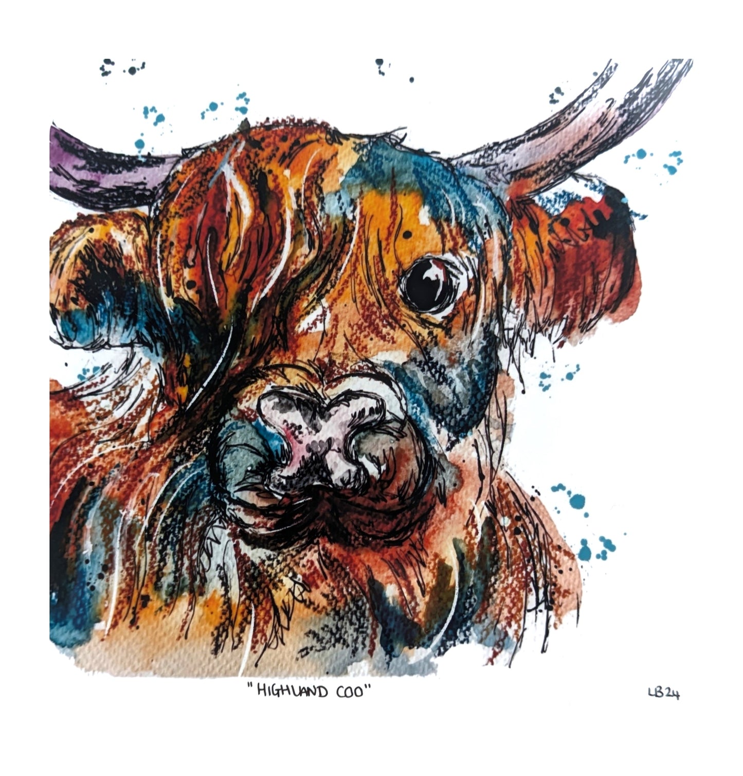 Highland Coo - Print