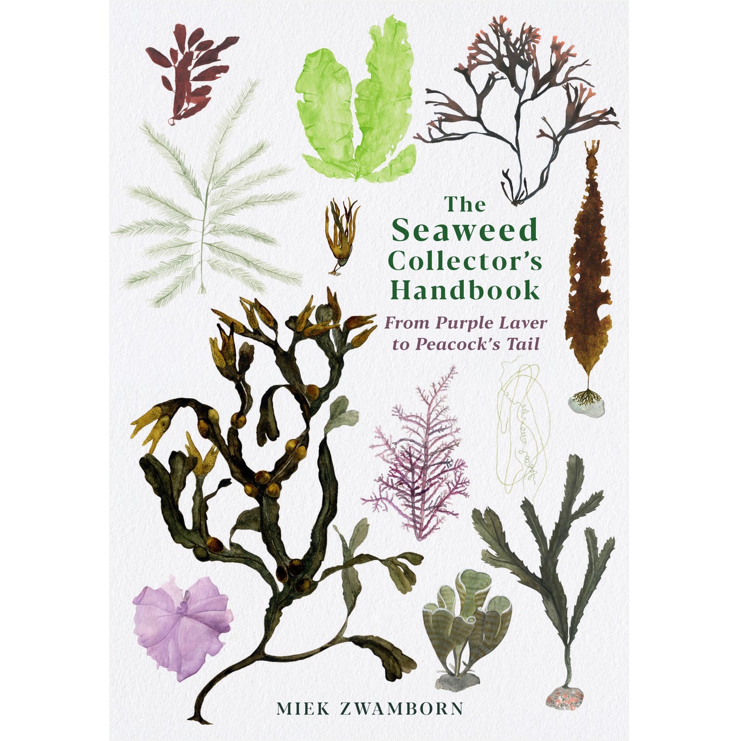 Seaweed Collectors Handbook - Book