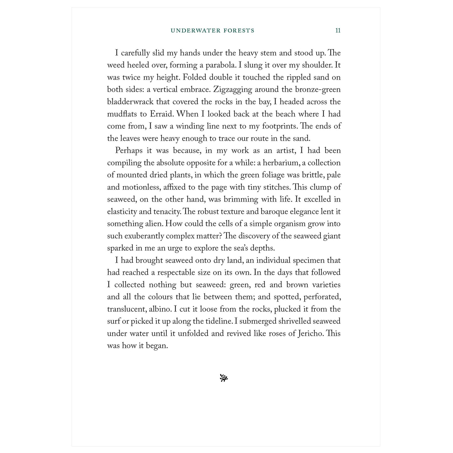 Seaweed Collectors Handbook - Book