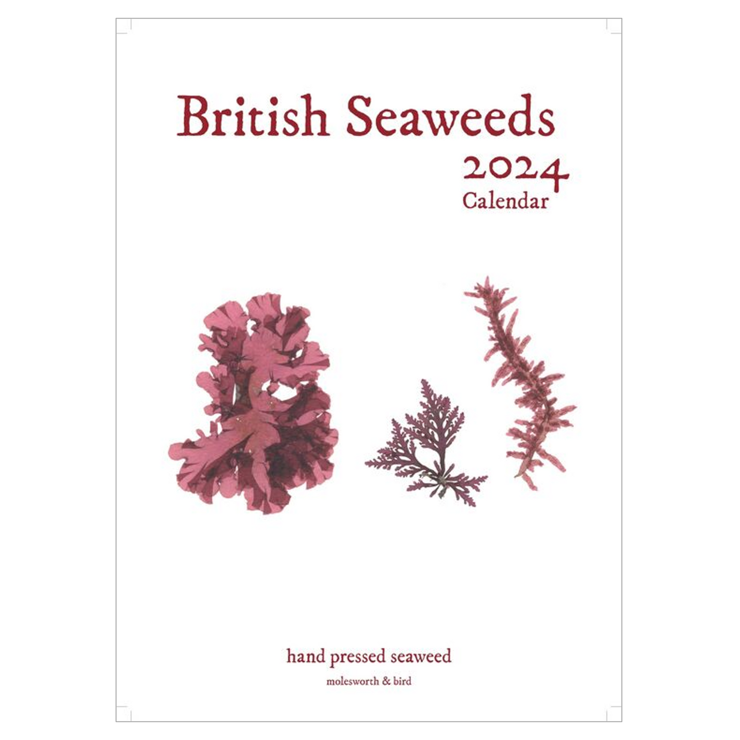 Seaweed Calendar 2024