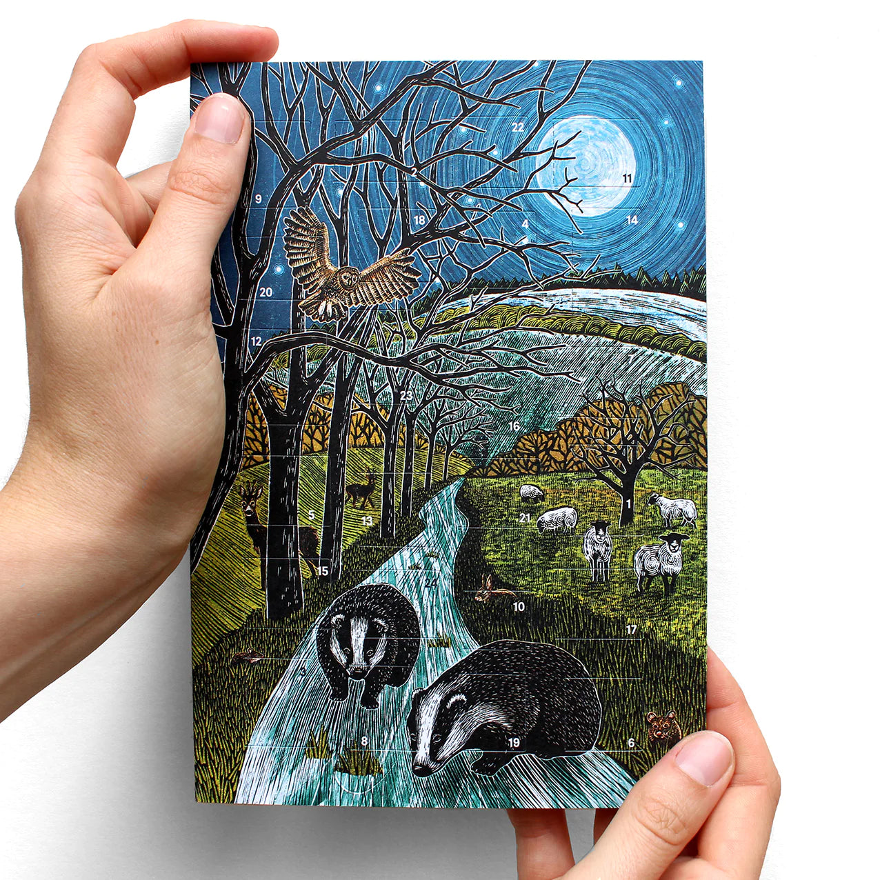 Advent Calendar Greetings Card