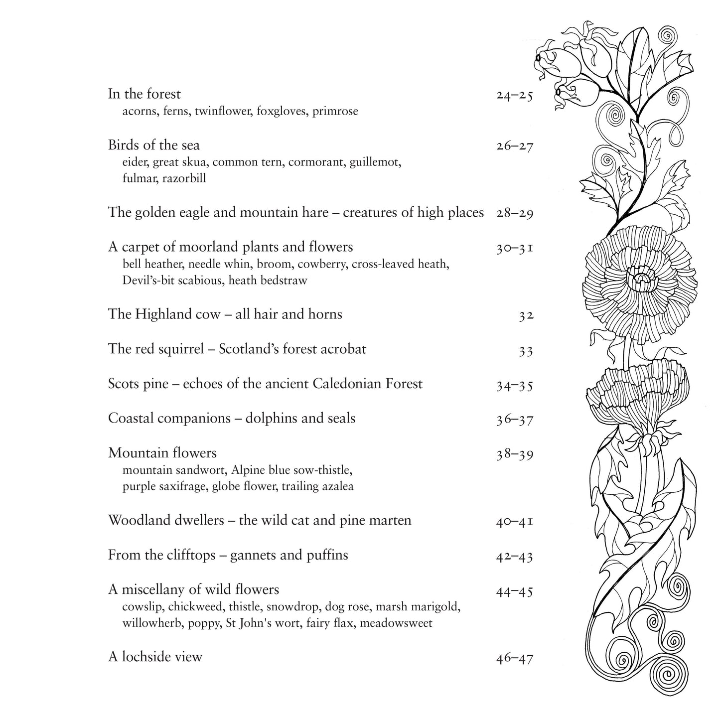 Scottish Nature Colouring Book