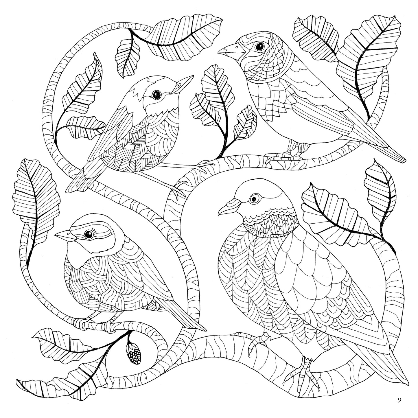 Scottish Nature Colouring Book