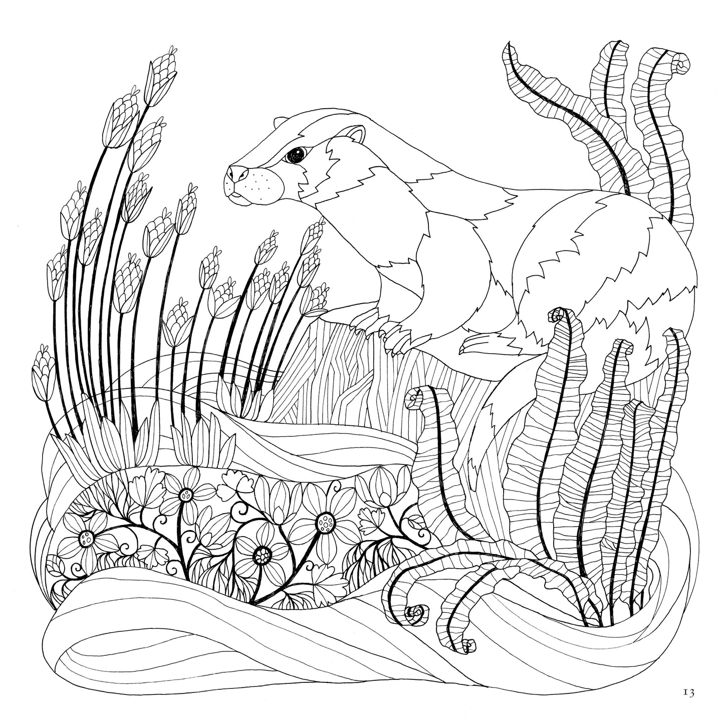 Scottish Nature Colouring Book