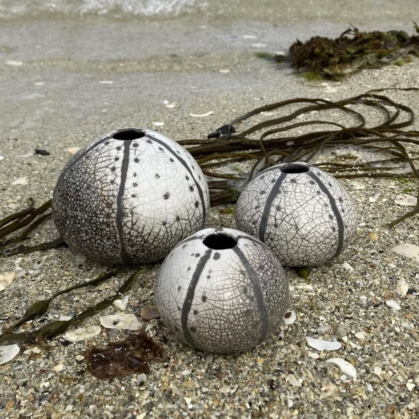 Raku Sea Urchins - Black and White