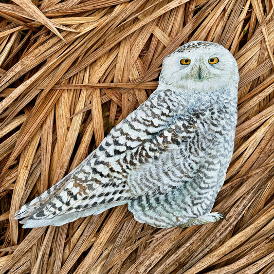 Tin Snowy Owl - Painted