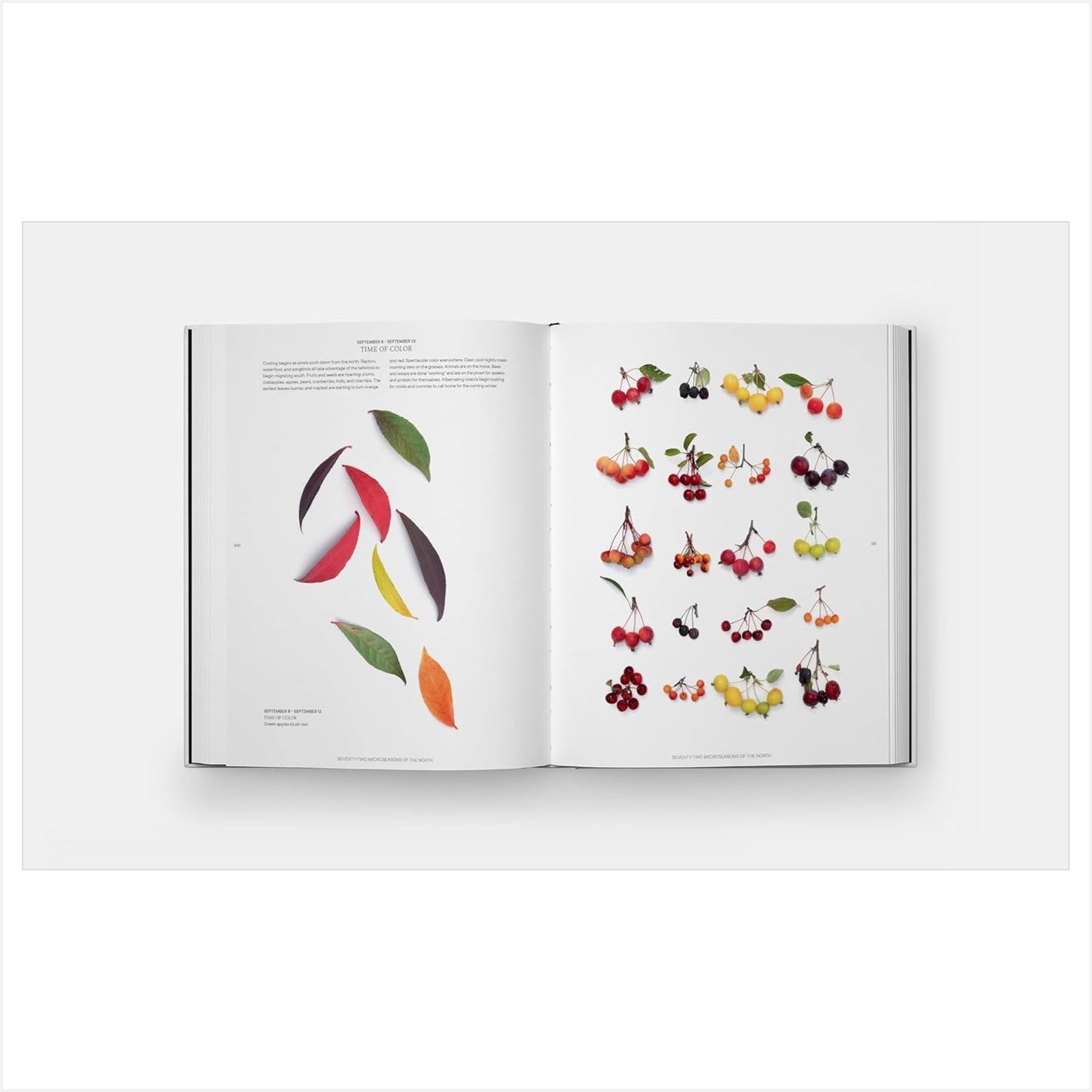 Still - The Art of Noticing - Book