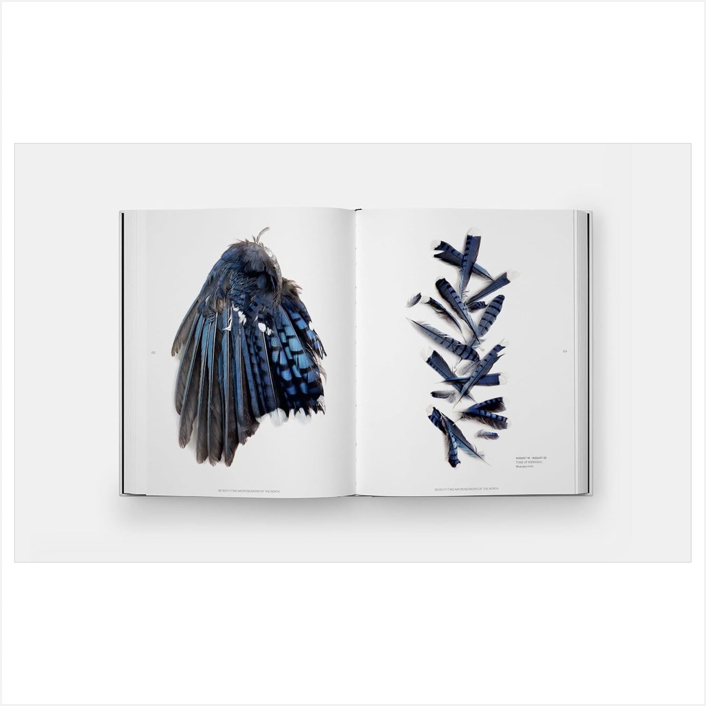 Still - The Art of Noticing - Book