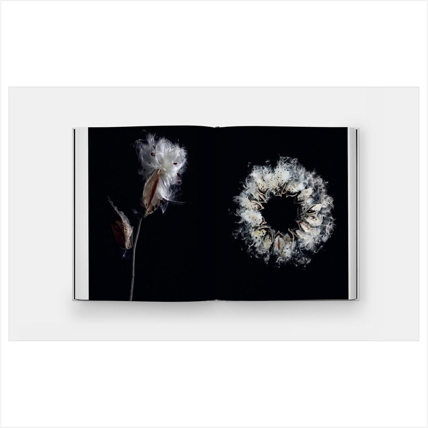 Still - The Art of Noticing - Book