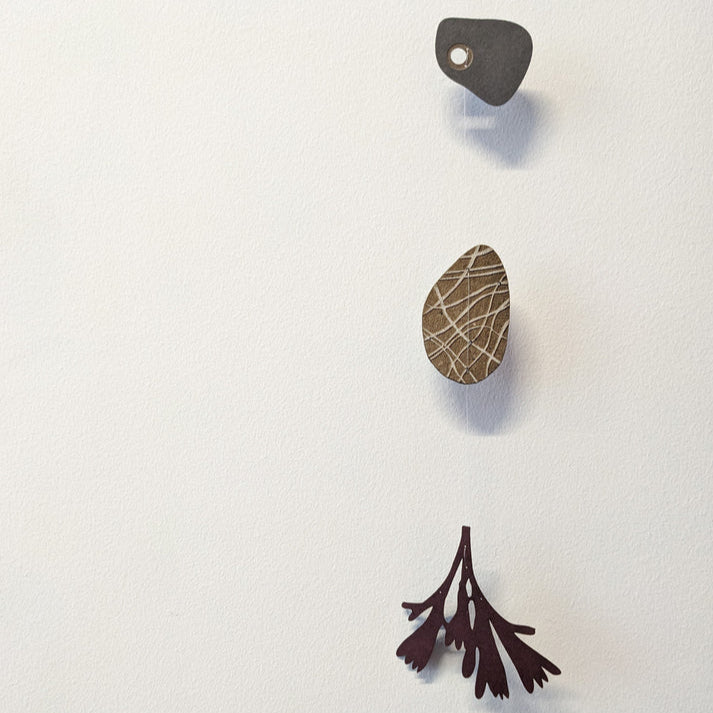 Collection of Paper Pebbles and Seaweed