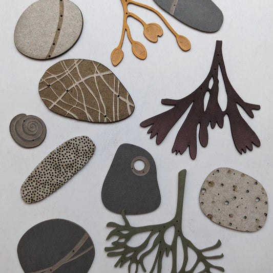 Collection of Paper Pebbles and Seaweed