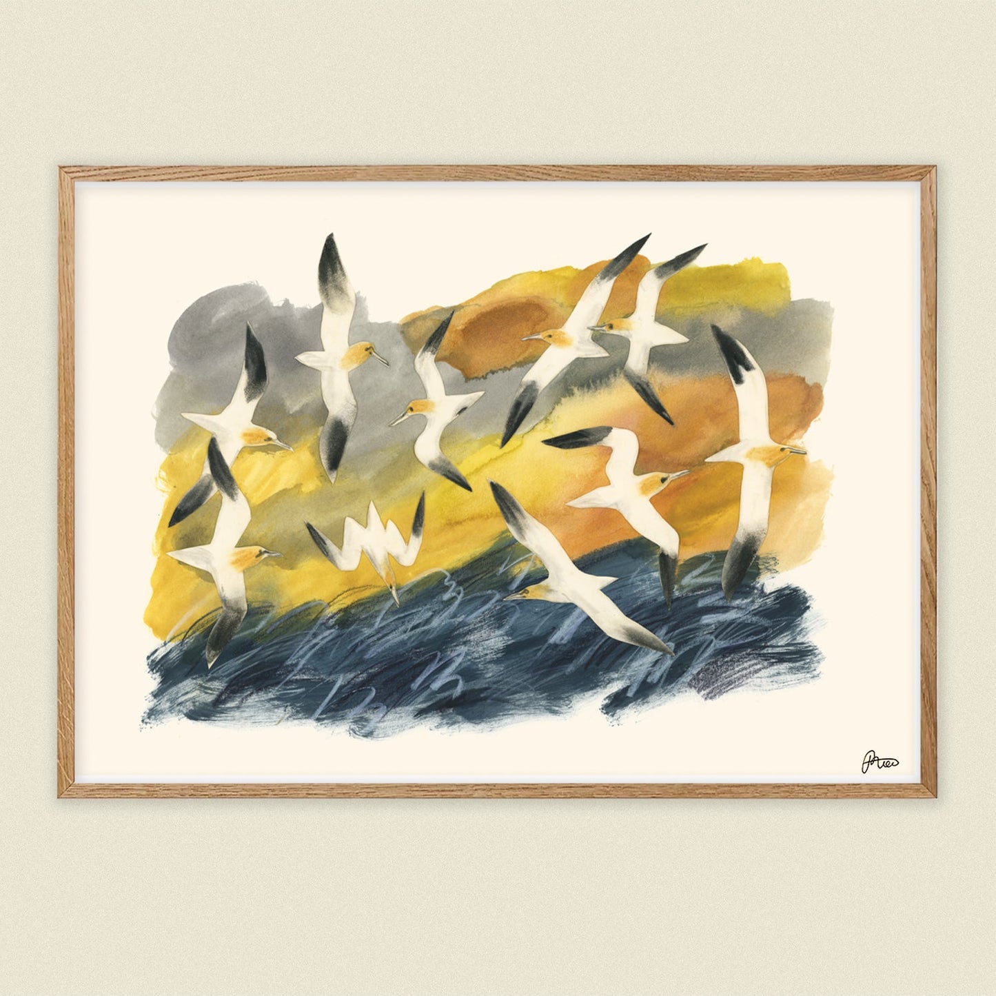 Reeling Gannets - A4 Print