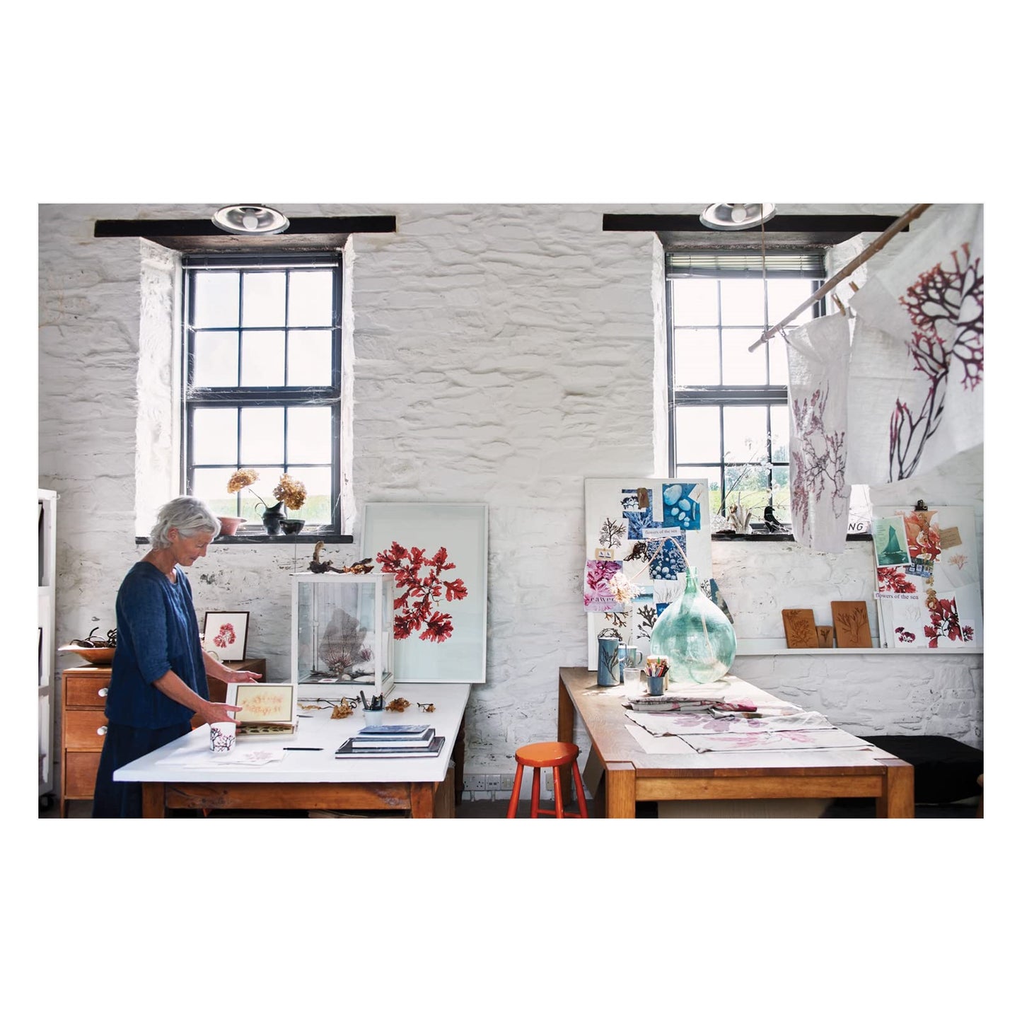 Seaweed: Foraging, Collecting, Pressing - Book