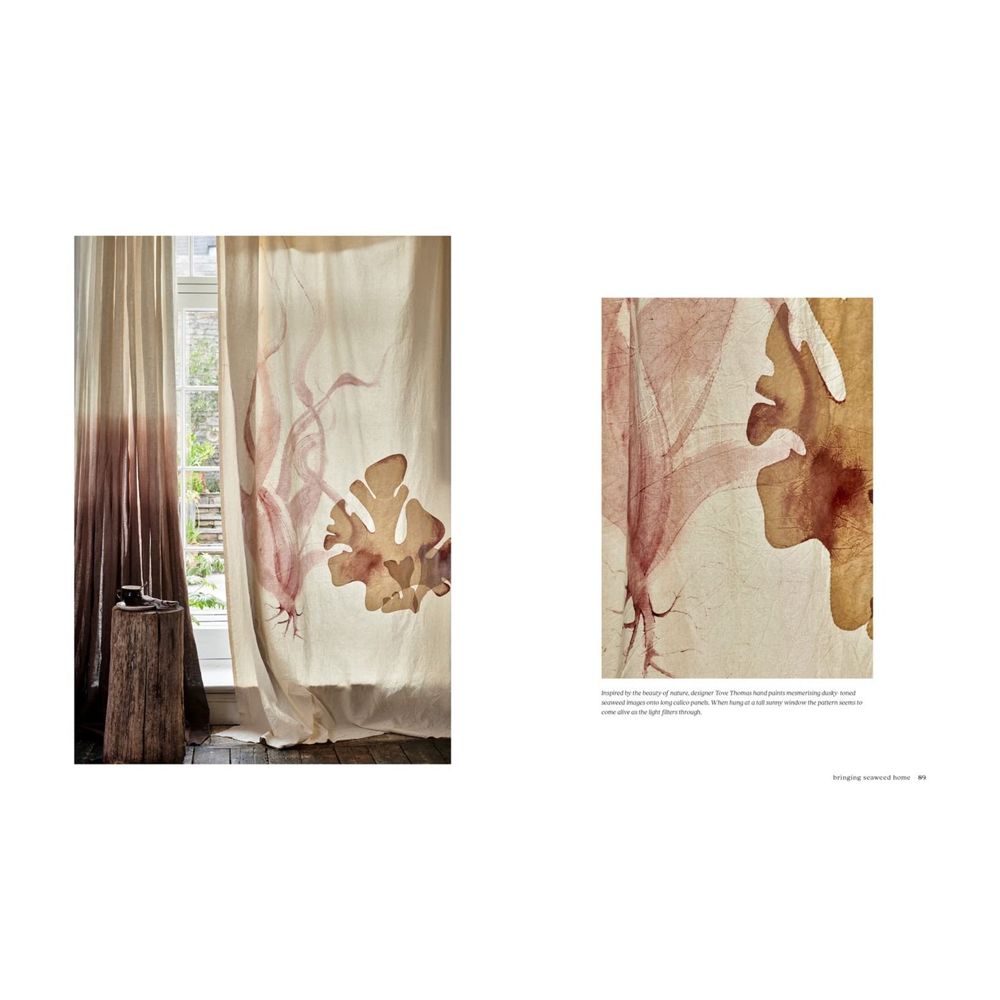 Seaweed: Foraging, Collecting, Pressing - Book