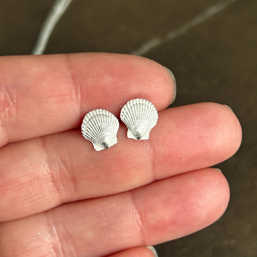 Silver Scallop Earrings
