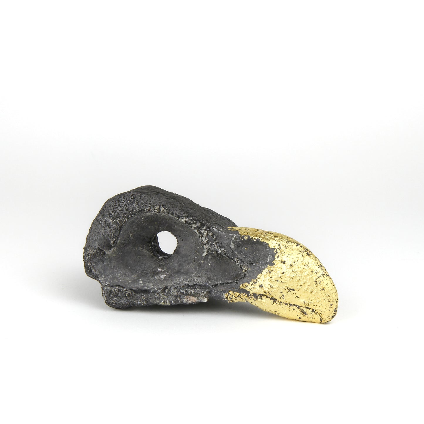 Sea Eagle Head