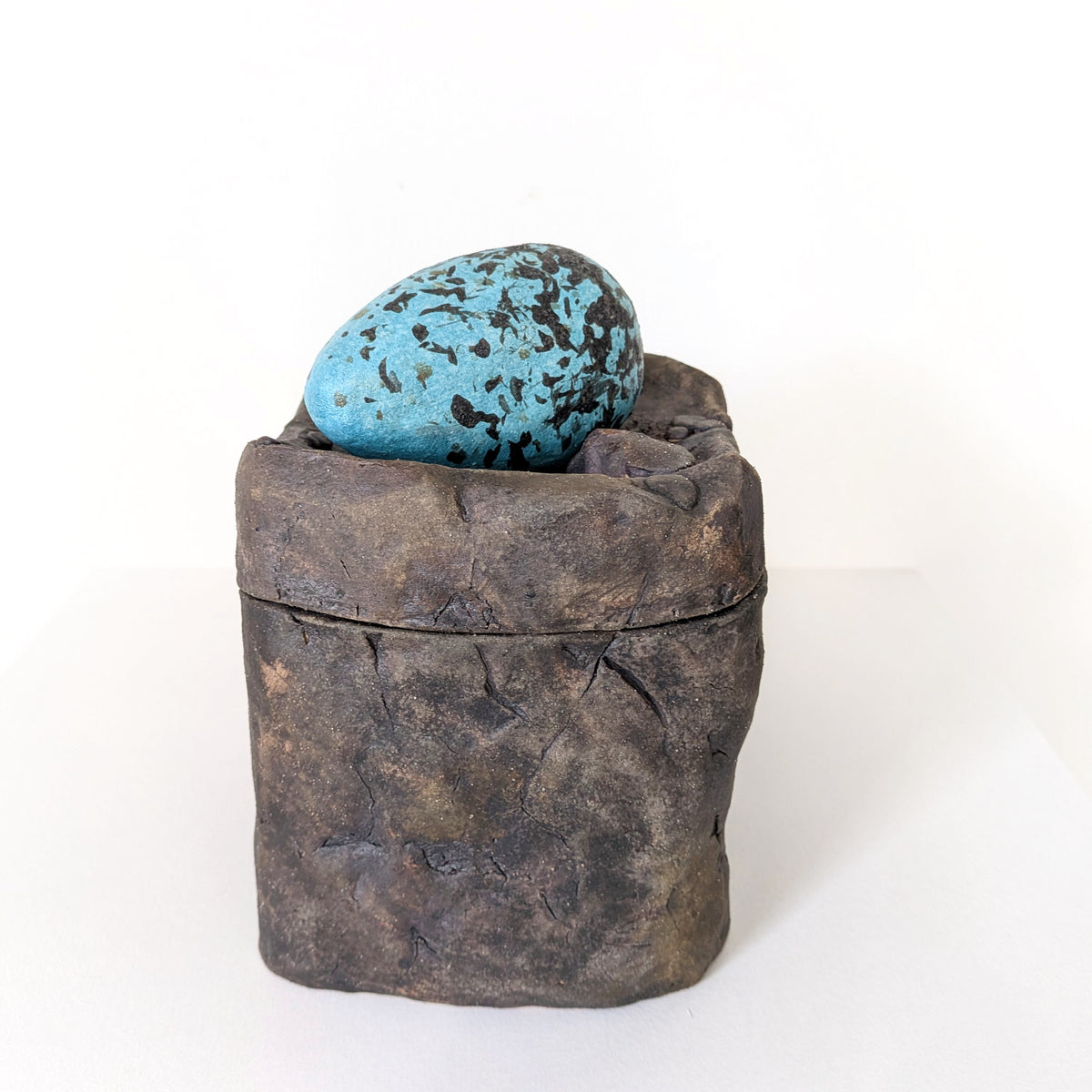 Lidded Rock Face Pot with Guillemot Egg
