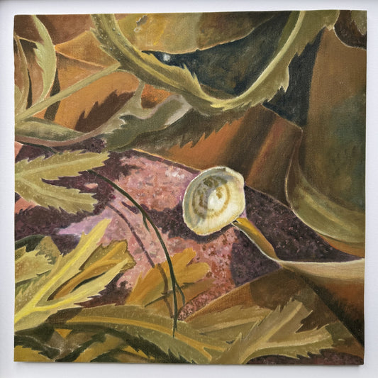Rockpool Study II