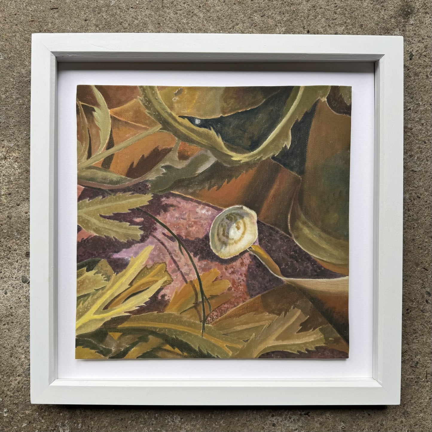 Rockpool Study II