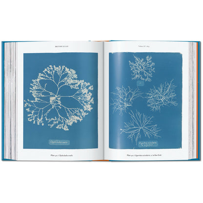 Anna Atkins: Cyanotypes - Book