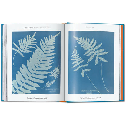 Anna Atkins: Cyanotypes - Book