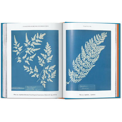 Anna Atkins: Cyanotypes - Book