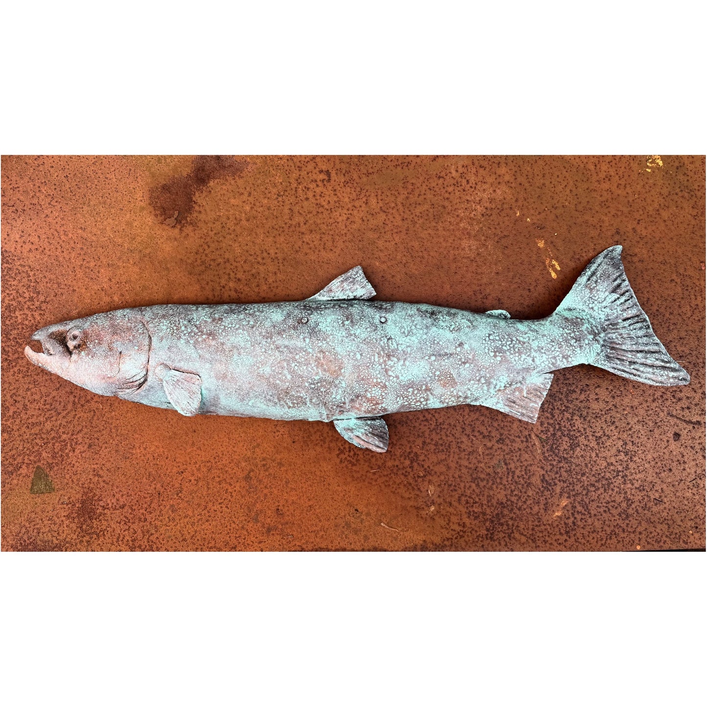 Atlantic Salmon