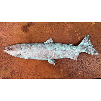 Atlantic Salmon