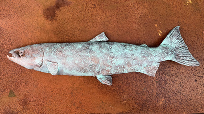 Atlantic Salmon