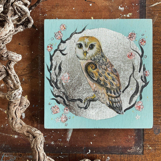 Barn Owl in Blossom