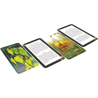 The Hedgerow Apothecary Forager's Card Deck
