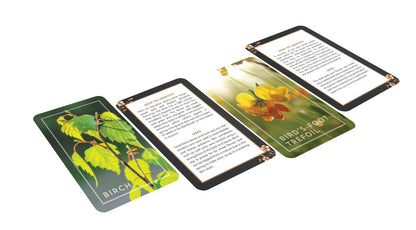 The Hedgerow Apothecary Forager's Card Deck