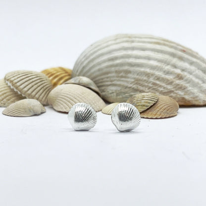 Silver Cockle Shell Earrings (8mm)