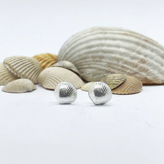 Silver Cockle Shell Earrings (8mm)