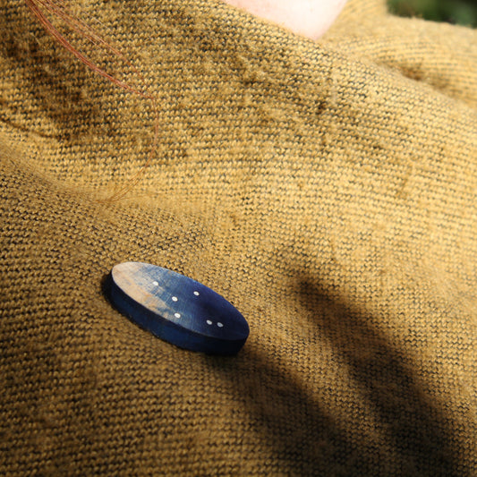 Constellation Oval Lapel Pin