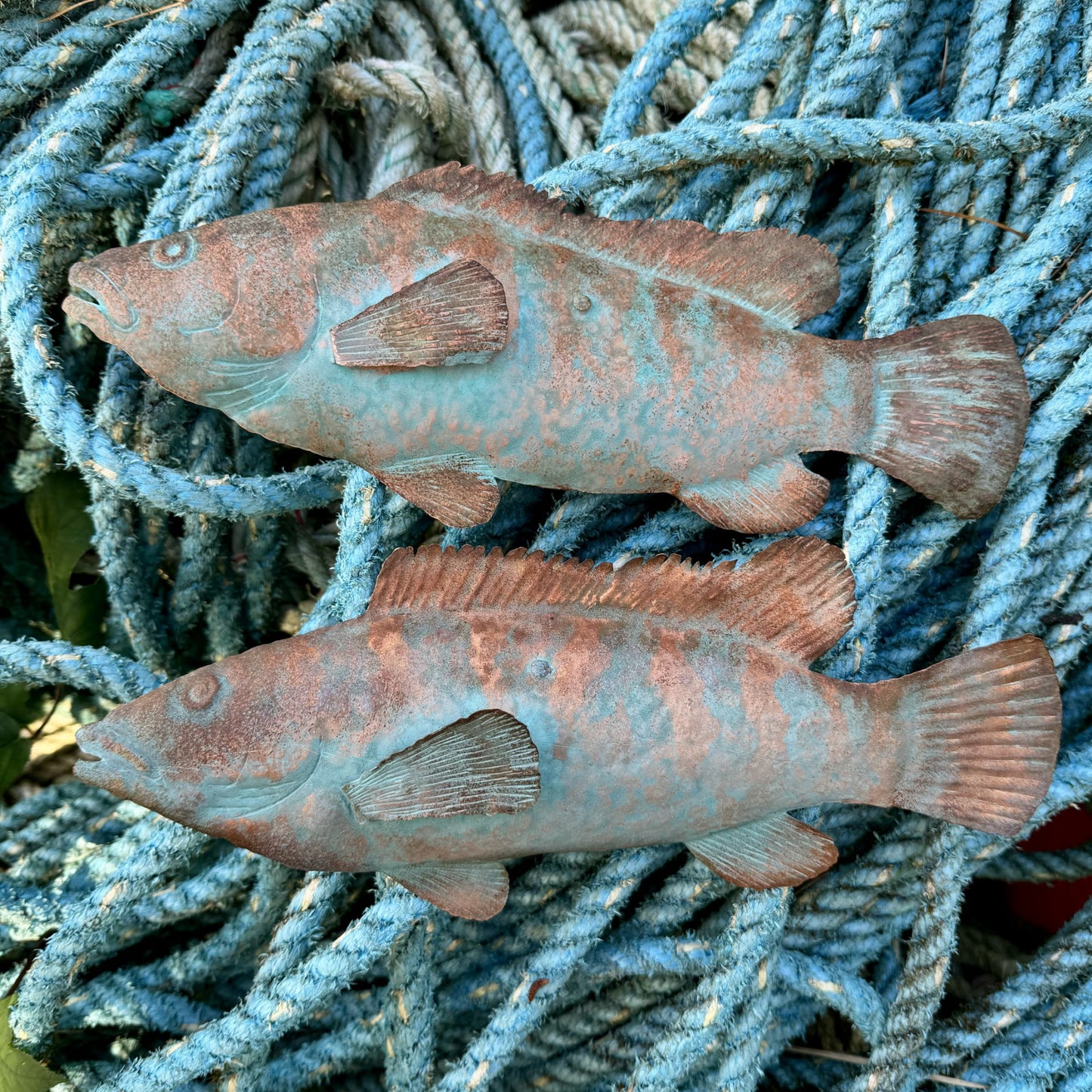 Copper Wrasse - Verdigris Finish