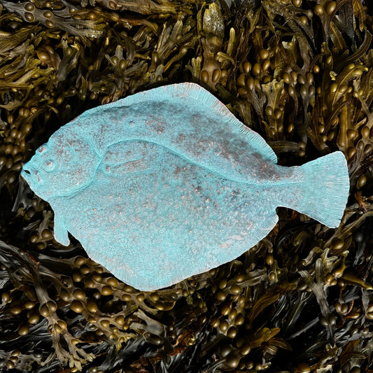 Copper Flat Fish - Verdigris Finish