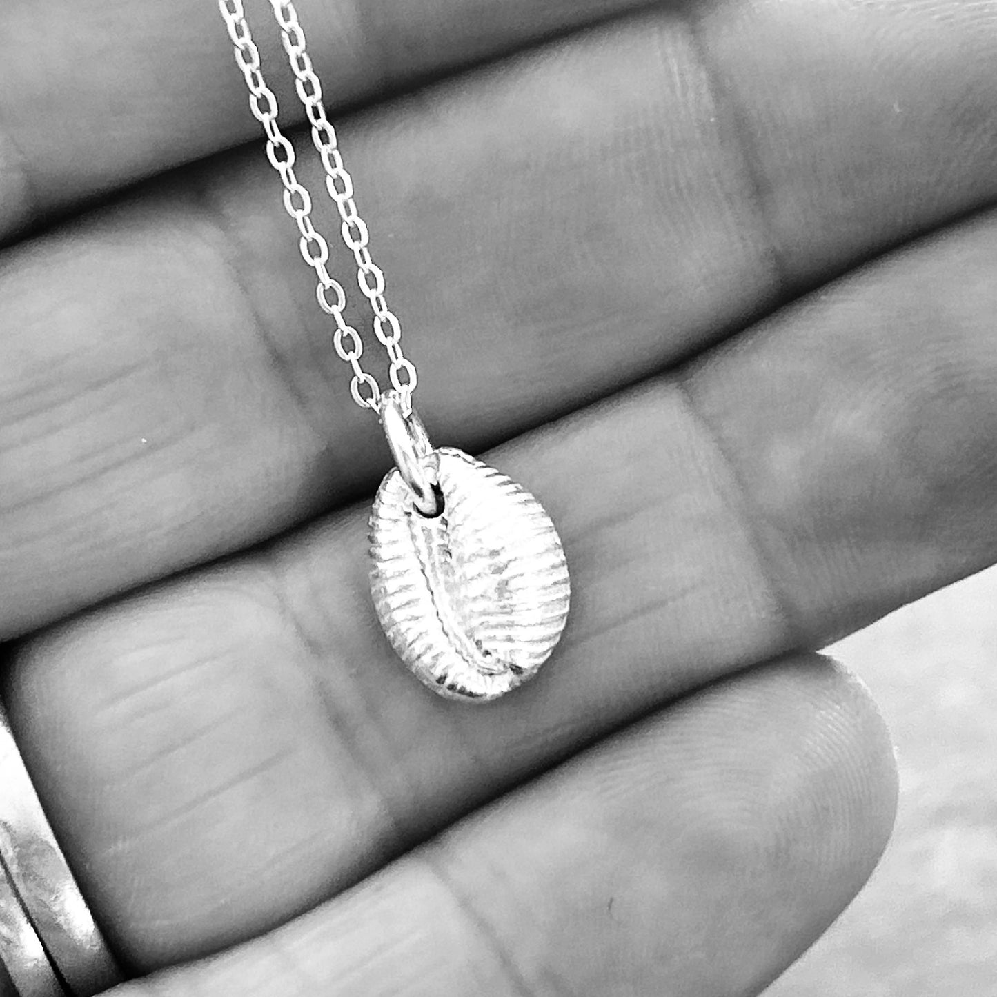 Silver Cowrie Shell Necklace