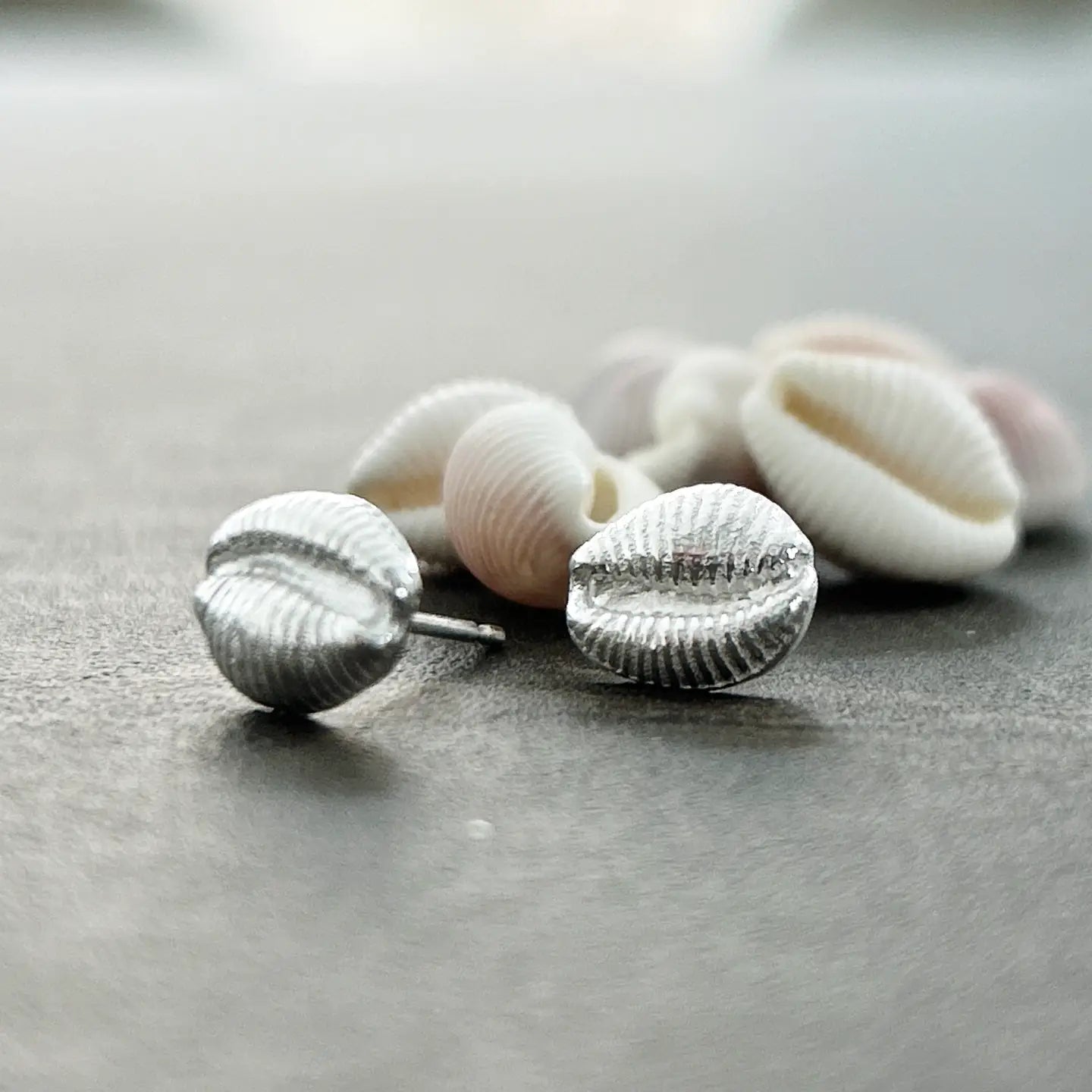 Silver Cowrie Shell Earrings